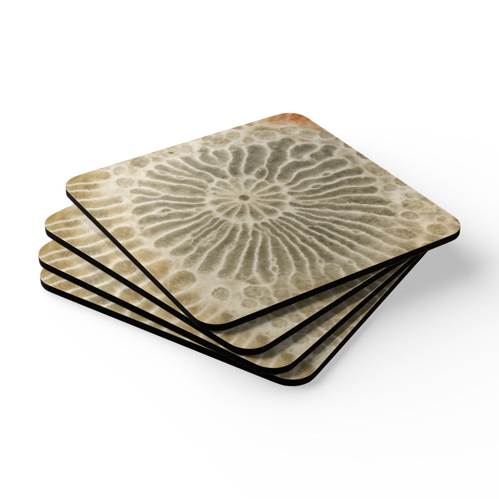 COSMIC COASTER Set - Ammonite