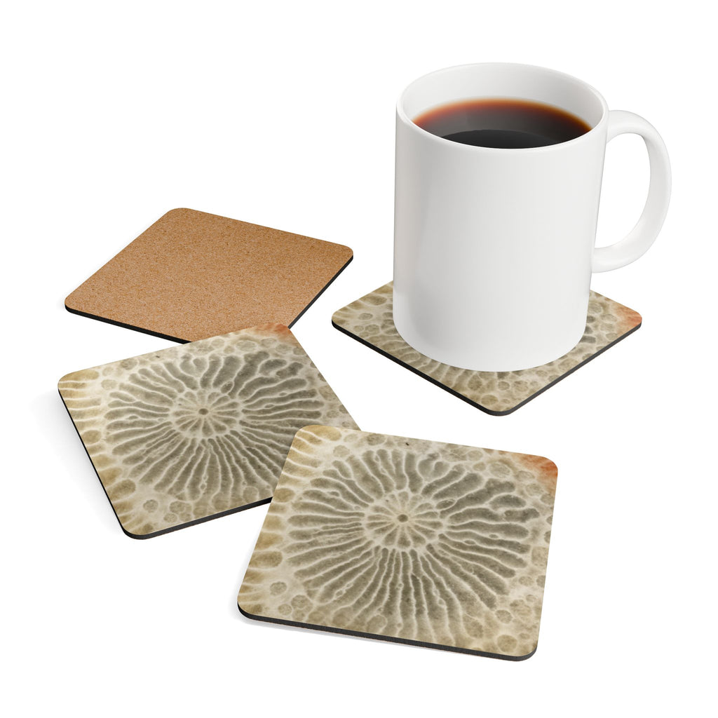 COSMIC COASTER Set - Ammonite