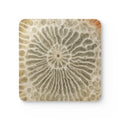 COSMIC COASTER Set - Ammonite
